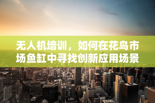 无人机培训，如何在花鸟市场鱼缸中寻找创新应用场景？