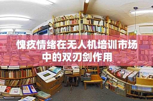 愧疚情绪在无人机培训市场中的双刃剑作用