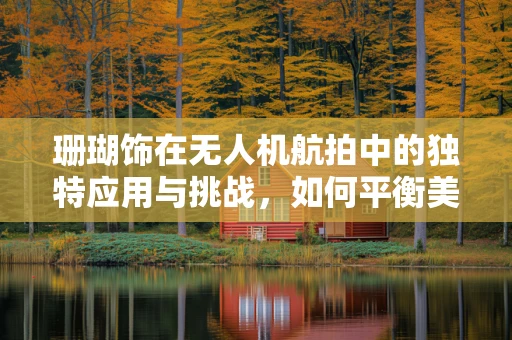 珊瑚饰在无人机航拍中的独特应用与挑战，如何平衡美学与安全？