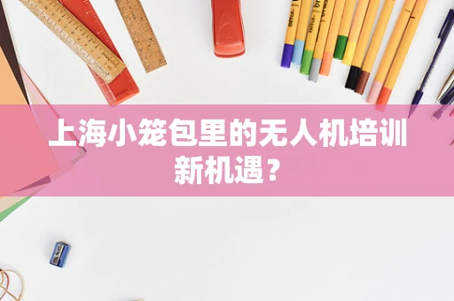 上海小笼包里的无人机培训新机遇？
