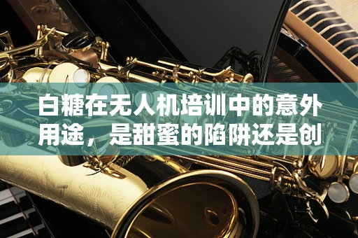 白糖在无人机培训中的意外用途，是甜蜜的陷阱还是创新教学工具？