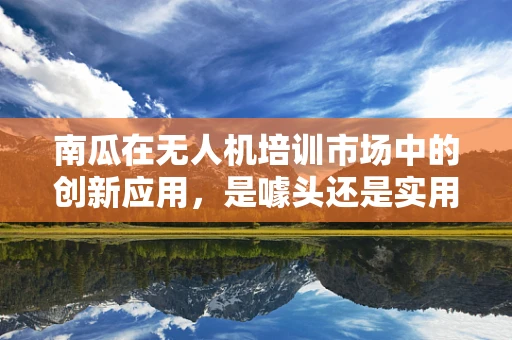 南瓜在无人机培训市场中的创新应用，是噱头还是实用？