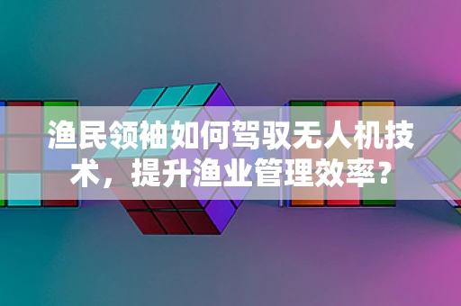 渔民领袖如何驾驭无人机技术，提升渔业管理效率？