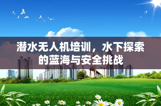潜水无人机培训，水下探索的蓝海与安全挑战