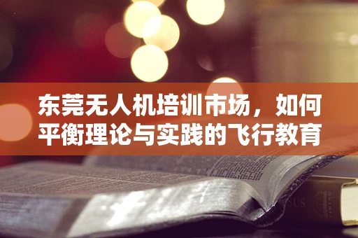 东莞无人机培训市场，如何平衡理论与实践的飞行教育？
