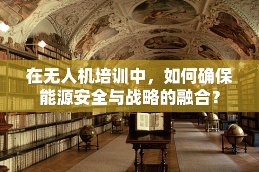 在无人机培训中，如何确保能源安全与战略的融合？