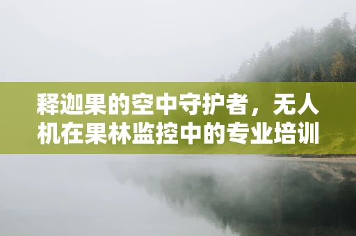 释迦果的空中守护者，无人机在果林监控中的专业培训挑战