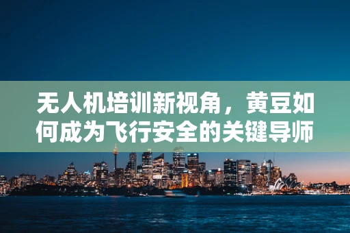 无人机培训新视角，黄豆如何成为飞行安全的关键导师？
