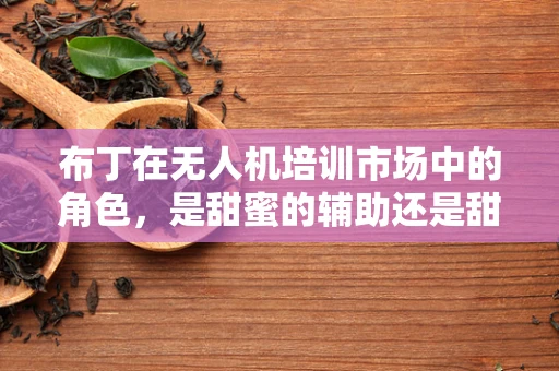 布丁在无人机培训市场中的角色，是甜蜜的辅助还是甜蜜的陷阱？