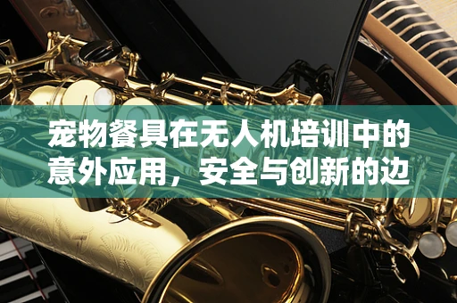 宠物餐具在无人机培训中的意外应用，安全与创新的边界？