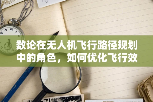 数论在无人机飞行路径规划中的角色，如何优化飞行效率？