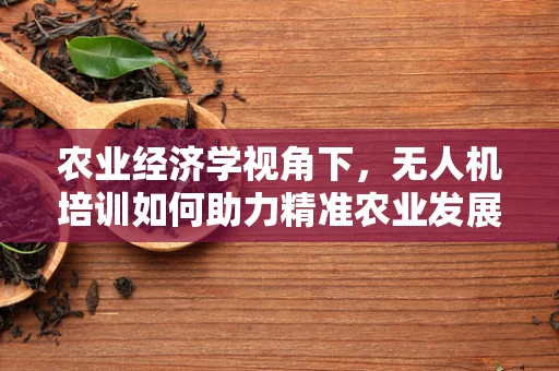 农业经济学视角下，无人机培训如何助力精准农业发展？