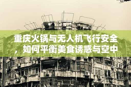 重庆火锅与无人机飞行安全，如何平衡美食诱惑与空中安全？