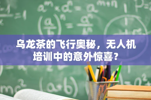 乌龙茶的飞行奥秘，无人机培训中的意外惊喜？
