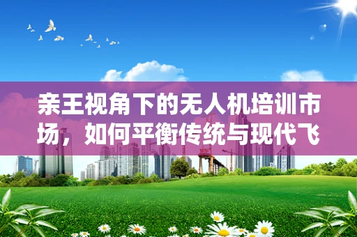 亲王视角下的无人机培训市场，如何平衡传统与现代飞行教育？