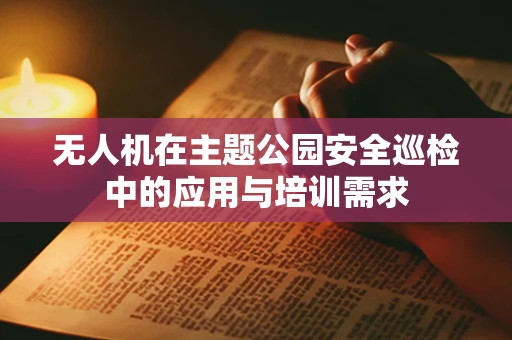 无人机在主题公园安全巡检中的应用与培训需求