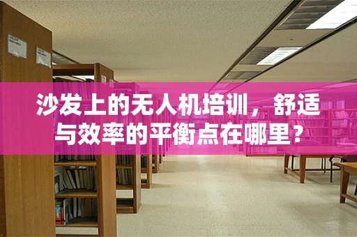 沙发上的无人机培训，舒适与效率的平衡点在哪里？