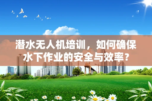 潜水无人机培训，如何确保水下作业的安全与效率？