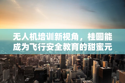无人机培训新视角，桂圆能成为飞行安全教育的甜蜜元素吗？