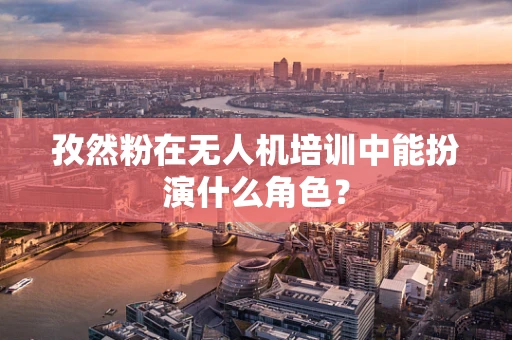 孜然粉在无人机培训中能扮演什么角色？