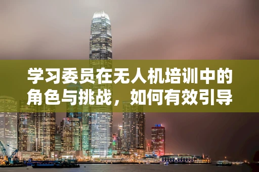 学习委员在无人机培训中的角色与挑战，如何有效引导团队学习？