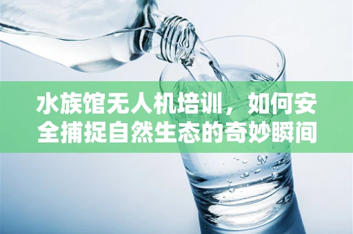 水族馆无人机培训，如何安全捕捉自然生态的奇妙瞬间？
