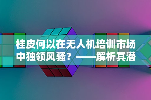 桂皮何以在无人机培训市场中独领风骚？——解析其潜在应用与影响