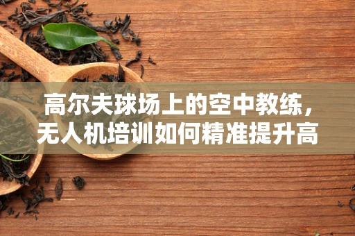 高尔夫球场上的空中教练，无人机培训如何精准提升高尔夫教学体验？