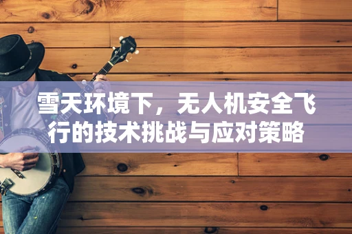 雪天环境下，无人机安全飞行的技术挑战与应对策略