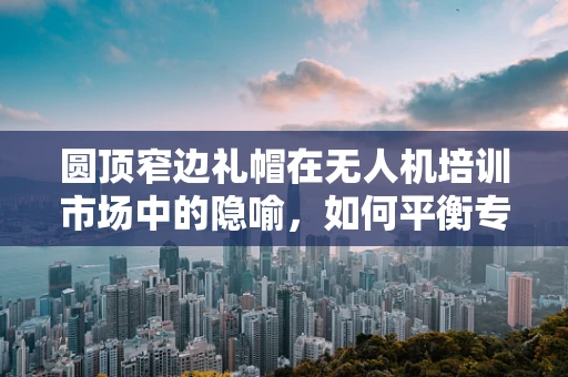 圆顶窄边礼帽在无人机培训市场中的隐喻，如何平衡专业性与时尚感？