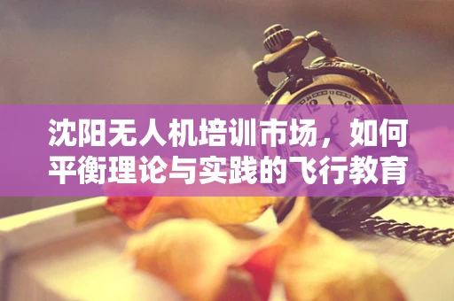 沈阳无人机培训市场，如何平衡理论与实践的飞行教育？