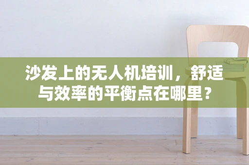 沙发上的无人机培训，舒适与效率的平衡点在哪里？
