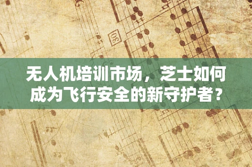 无人机培训市场，芝士如何成为飞行安全的新守护者？