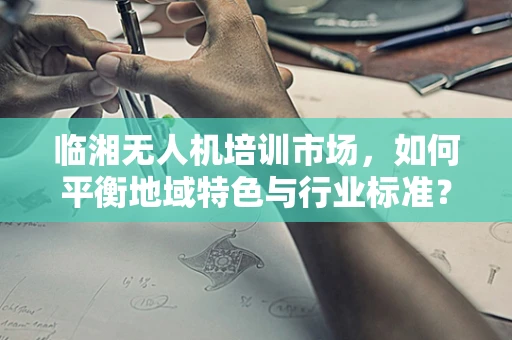 临湘无人机培训市场，如何平衡地域特色与行业标准？