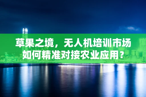 草果之境，无人机培训市场如何精准对接农业应用？