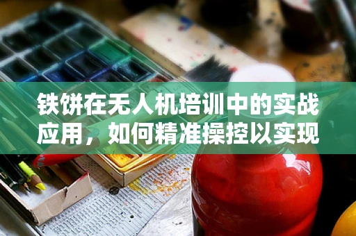 铁饼在无人机培训中的实战应用，如何精准操控以实现高效搜救？