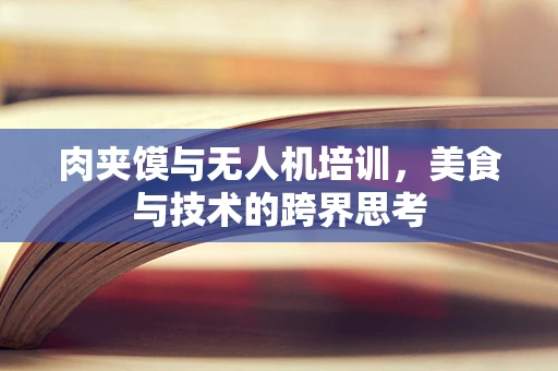 肉夹馍与无人机培训，美食与技术的跨界思考