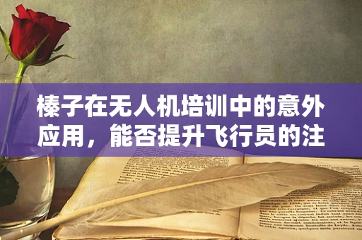 榛子在无人机培训中的意外应用，能否提升飞行员的注意力与反应速度？