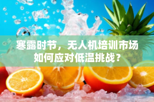 寒露时节，无人机培训市场如何应对低温挑战？