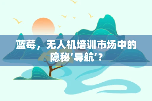 蓝莓，无人机培训市场中的隐秘‘导航’？