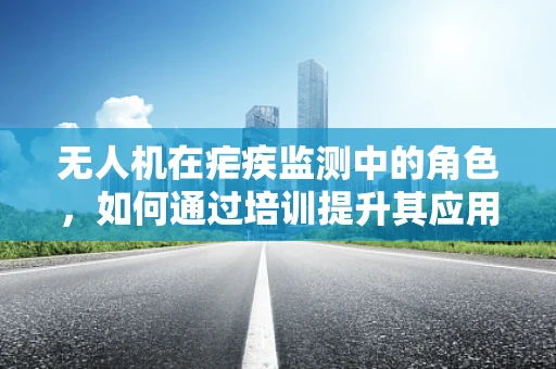 无人机在疟疾监测中的角色，如何通过培训提升其应用效率？