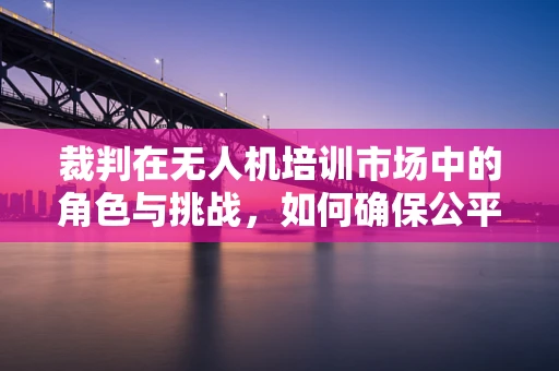 裁判在无人机培训市场中的角色与挑战，如何确保公平与安全？