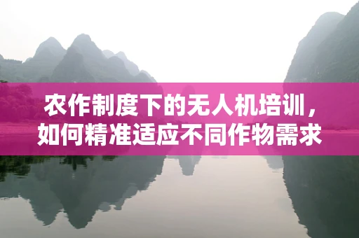 农作制度下的无人机培训，如何精准适应不同作物需求？