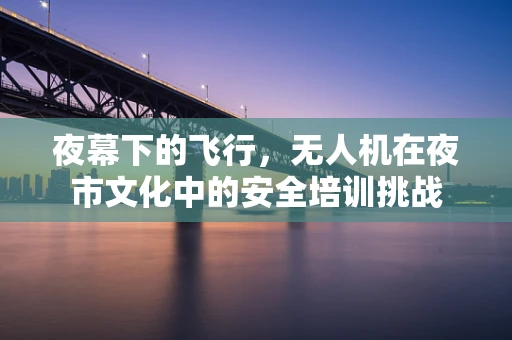 夜幕下的飞行，无人机在夜市文化中的安全培训挑战