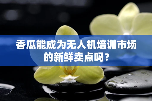 香瓜能成为无人机培训市场的新鲜卖点吗？