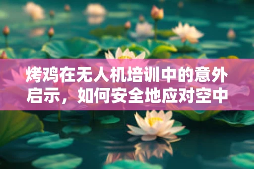 烤鸡在无人机培训中的意外启示，如何安全地应对空中美食诱惑？