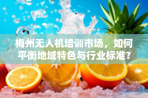 梅州无人机培训市场，如何平衡地域特色与行业标准？
