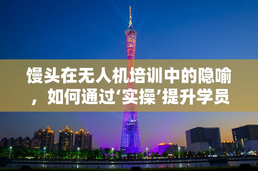 馒头在无人机培训中的隐喻，如何通过‘实操’提升学员的‘飞行’技能？