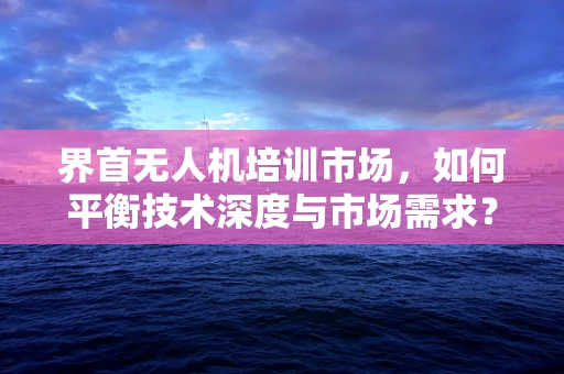 界首无人机培训市场，如何平衡技术深度与市场需求？
