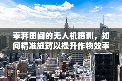 荸荠田间的无人机培训，如何精准施药以提升作物效率？